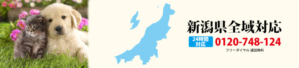 新潟県全域対応